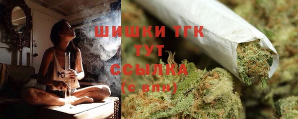 молекула духа Белокуриха