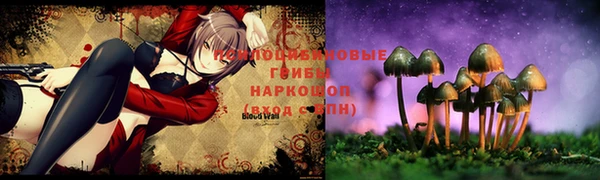 молекула духа Белокуриха