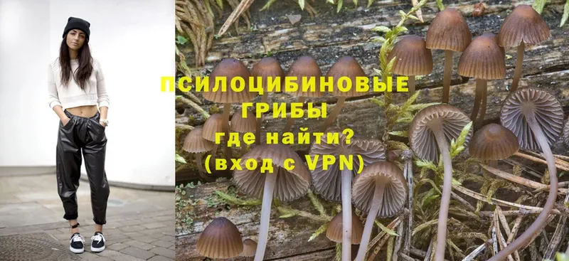 Галлюциногенные грибы Psilocybine cubensis  Беслан 