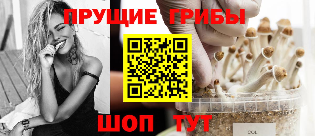 Галлюциногенные грибы Psilocybine cubensis  Псилоцибиновые грибы мицелий  Беслан 