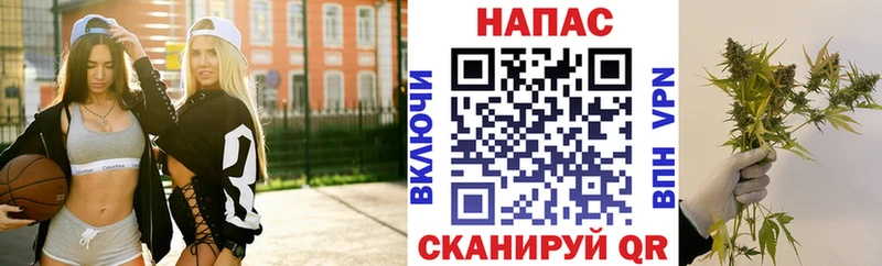 Шишки марихуана сатива Беслан