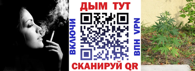где можно купить наркотик  Беслан  blacksprut вход  Конопля LSD WEED 